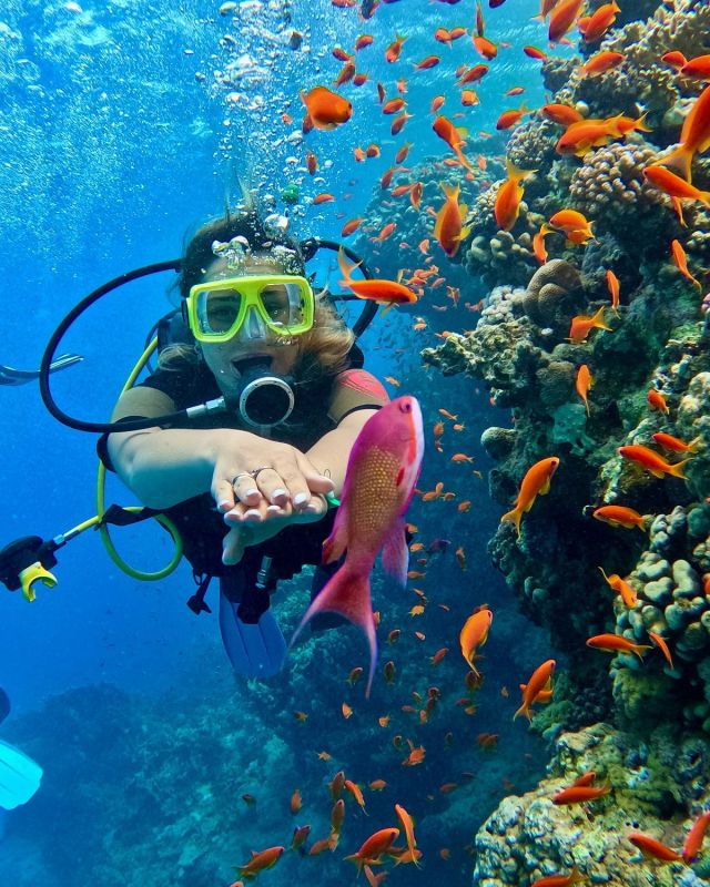 Cairo, Luxor and Hurghada Budget Tours