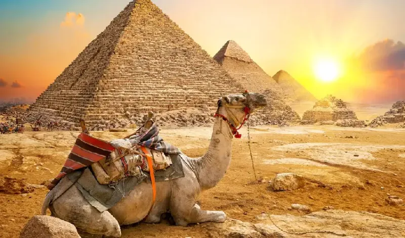 Day Trip from Luxor to Cairo by Plane