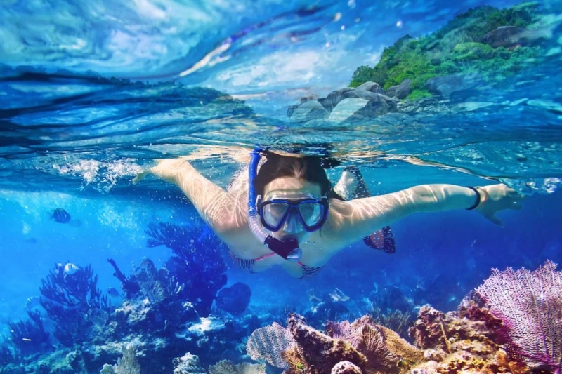 Snorkeling Trip at Port Ghalib from Marsa Alam